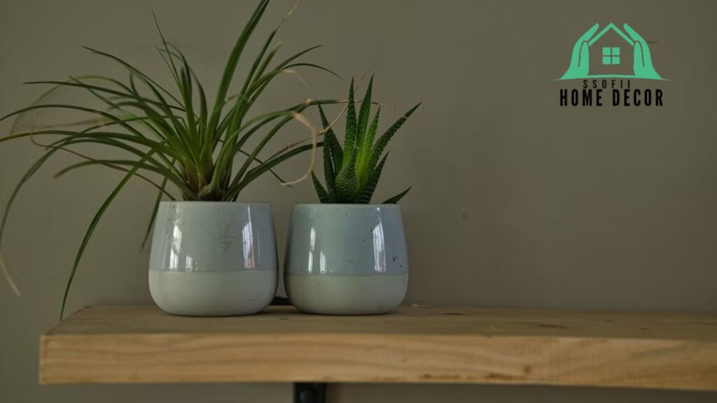 About Us - DecoratorAdvice.com