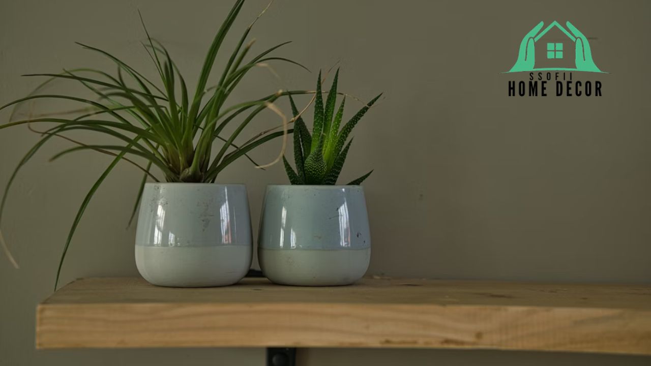 About Us - DecoratorAdvice.com