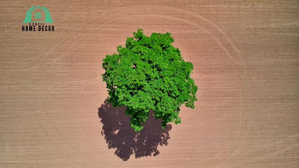 TreeLeftBigShop.com Your Ultimate Guide to Shopping Smarter and Greener