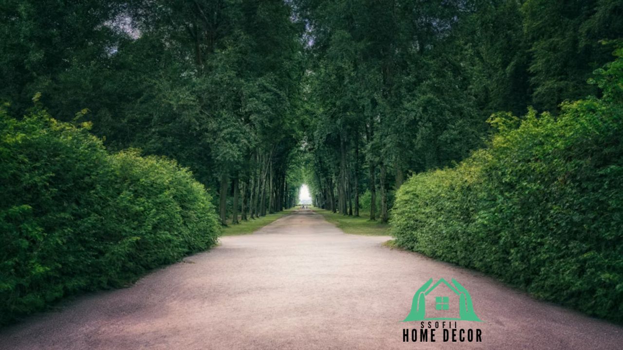 Exploring BetterThisCosmos Posts A Gateway to BetterThisWorld